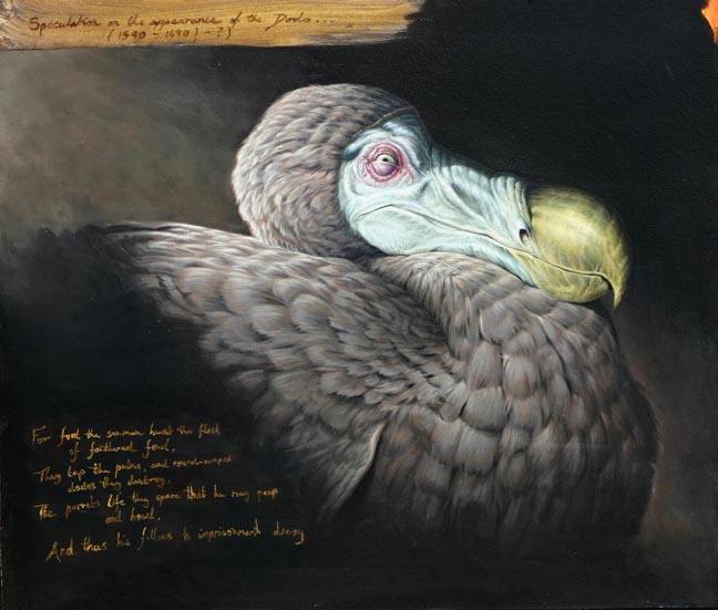 47a3cb3720ac8&filename=Dodo.jpg