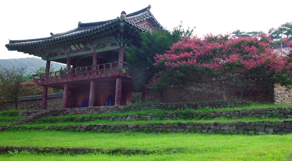 도동이네 이미지