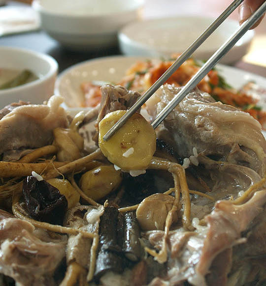 오백년누룽지백숙 이미지