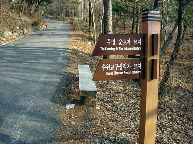 겟세마니동산 이미지