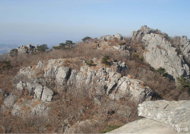 남도바다 이미지