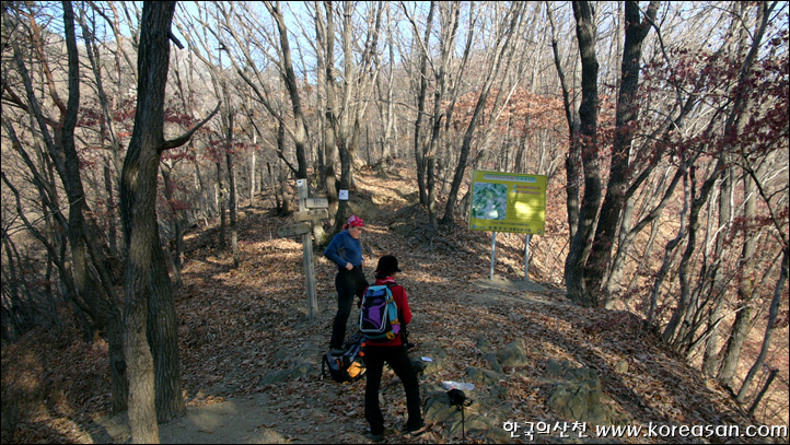 용문산 정상 이미지