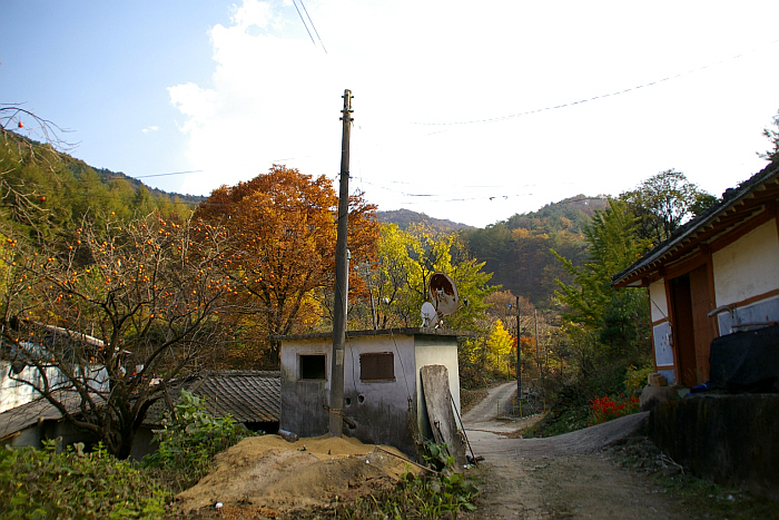 길손농원 이미지