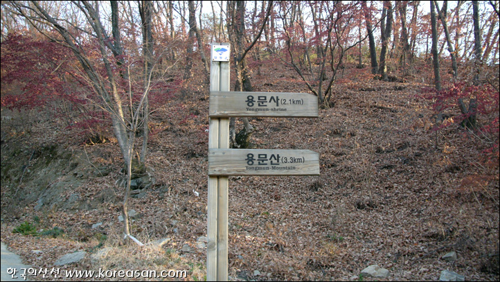 용문산 정상 이미지