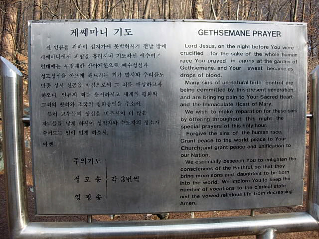 겟세마니동산 이미지