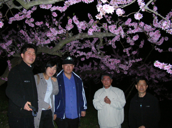 도화주 이미지