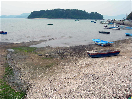 서산낙지 이미지