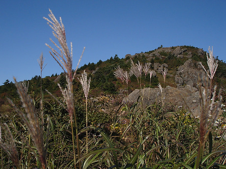 지리산서바이벌 이미지