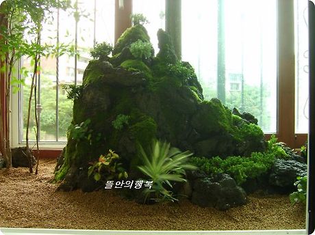 대림조경 이미지