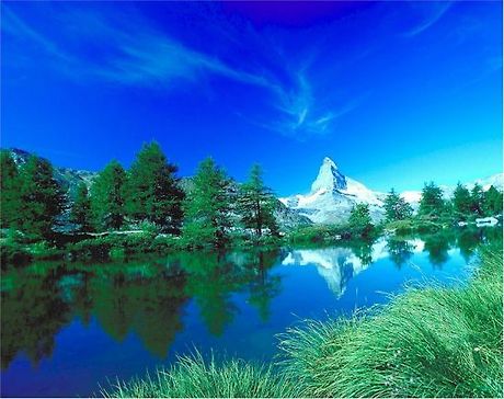 산울림7080 이미지