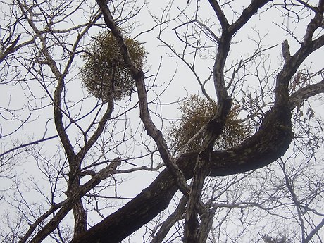 download.blog?fhandle=MEFNVEJAZnM5LmJsb2