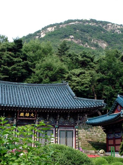 더불어숲생태학교 이미지