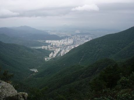 앞산으로 가는길 이미지