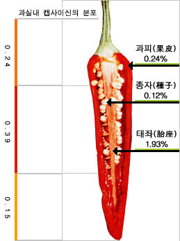 술담 이미지