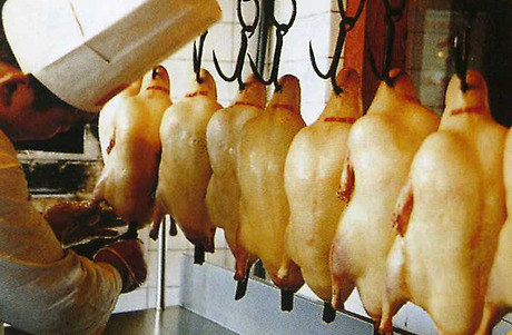 전통오리구이 이미지