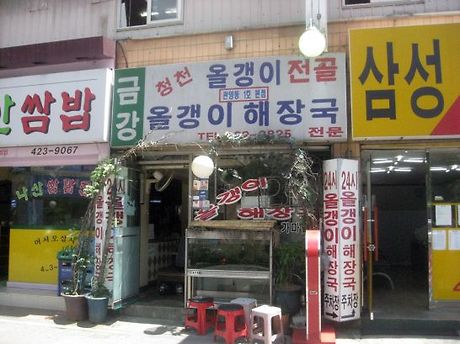 금강올갱이 이미지