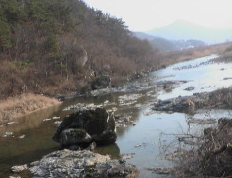 천년가요 이미지